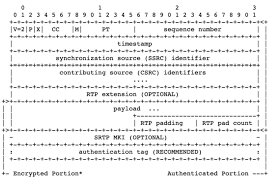 srtp01-1